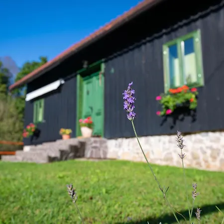 Feriehus Sajnska Hiza, Autenticna Goranska Kuca U Prirodi *
